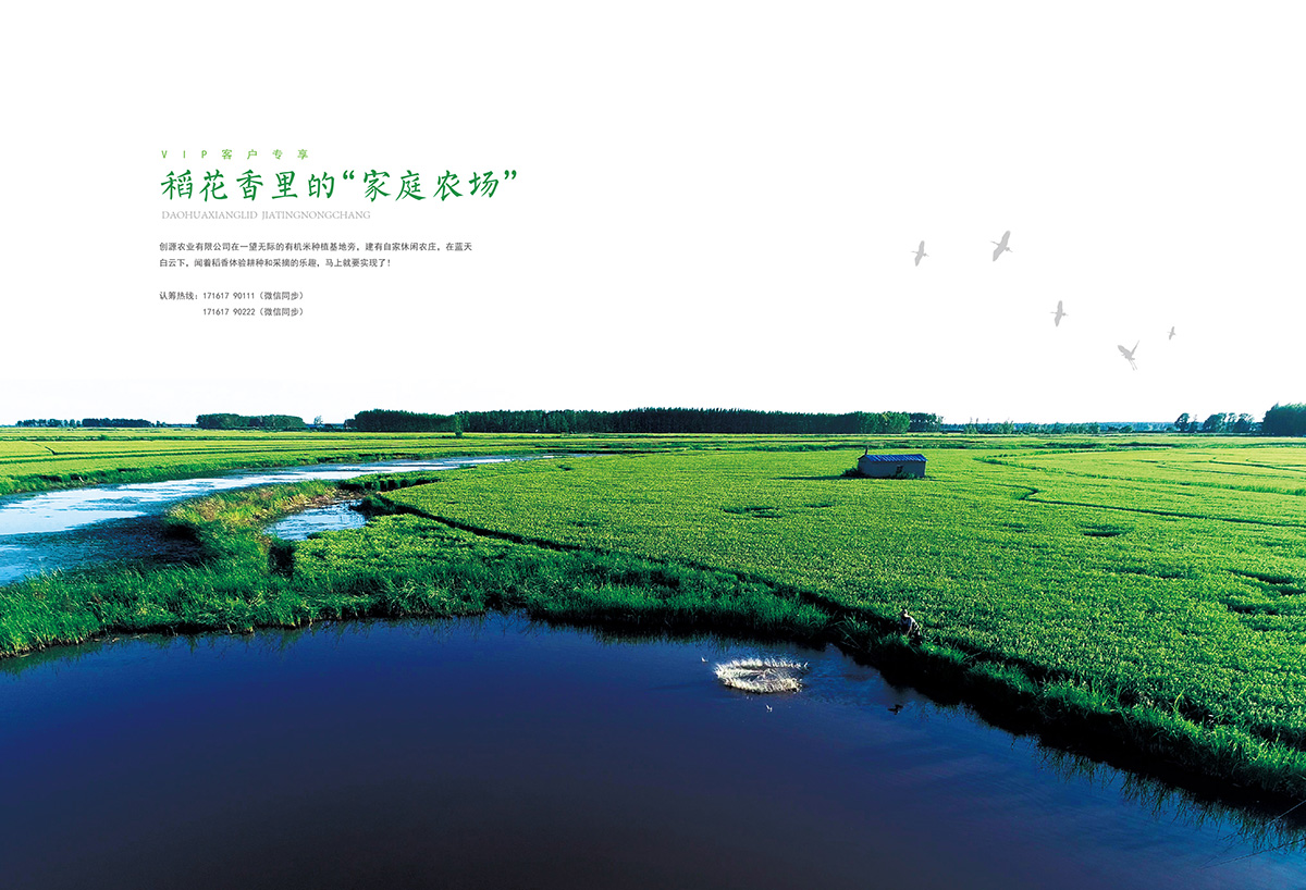個(gè)人合作